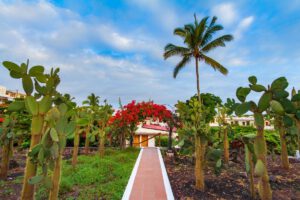 Die Gartenanlage des Hotel Fiesta, Santa Cruz, Galapagos, Ecuador