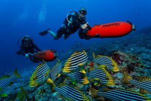 Impressionen des Medhufushi Island Resort, Malediven