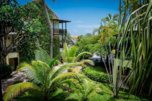Blick in den Garten des des Lions Dive & Beach Resort, Curacao, Karibik