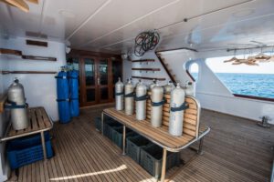 Tauchdeck der M/Y Sea Serpent, Serpentfleet, Aegypten