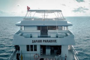 Das Schiff, M/V Amba, Malediven