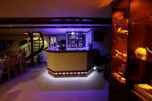 Bar am Abend Emperor Voyager Malediven