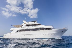 Die Golden Dolphin 2