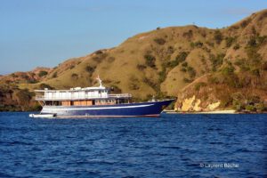 Die M/V Ambai, Wallacea Divecruise, Indonesien