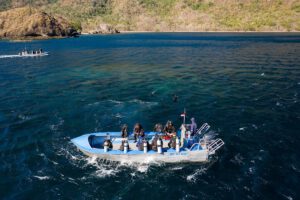 Das Beiboot der MSY Seahorse, Wallacea Divecruise, Indonesien