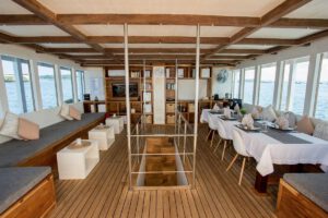 Salon, Fenides Liveaboard, Indonesien