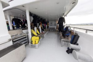 Das Tauchdeck der Atlantis Infinity, Philippinen