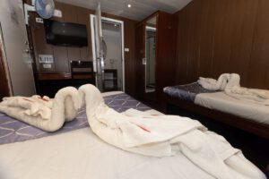 Premium Deluxe Kabine Unterdeck mit Twin Betten, Atlantis Infinity, Philippinen