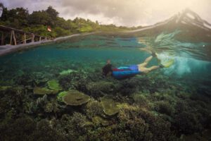 Das Hausriff, Raja Ampat Dive Resort, Indonesien