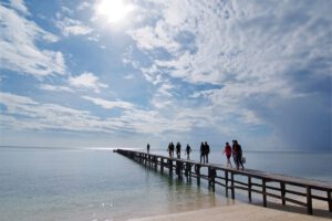 Tauchen mit dem Selayar Dive Resort, Sulawesi, Indonesien