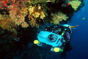 Tauchen mit der Nai'a, Tauchsafari, Fiji