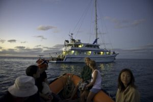 Die Nai'a, Tauchsafari, Fiji