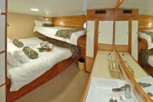 Unterdeck Kabine Doppel der Nai'a, Tauchsafari, Fiji
