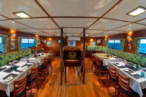 Salon der Nai'a, Tauchsafari, Fiji