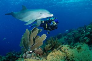 Tauchen rund um Curacao, ABC Inseln