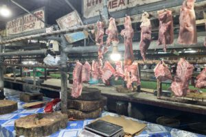 Ausfluege mit dem Whispering Palms, Negros, Philippinen