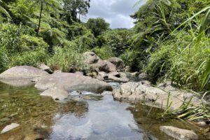 Ausfluege mit dem Whispering Palms, Negros, Philippinen