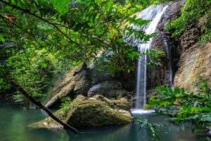 Ausflüge mit der Wellenreng, Tauchsafari Indonesien