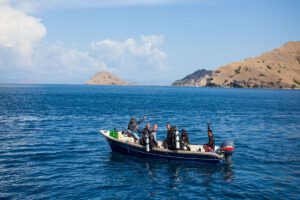Tauchen auf der Wellenreng, Tauchsafari Indonesien
