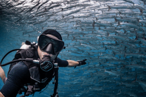 Tauchen auf der Wellenreng, Tauchsafari Indonesien