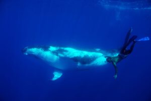 Französisch Polynesien