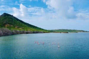 Curacao, Scuba Lodge Oceanfront Boutique Hotel, Willemstad, Curacao