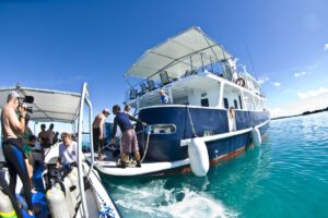Die Ocean Hunter III, Mikronesien, Palau