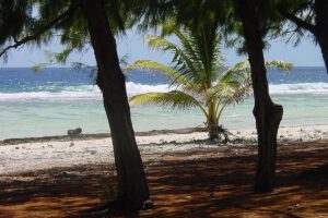 Meerblick unter Palmen, Relais de Josephine, Rangiroa, Französisch Polynesien