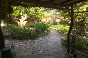 Die Anlage des Motu Aito Paradise, Fkarava, Franzoesisch Polynesien