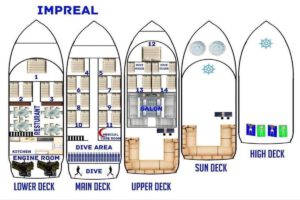 Deckplan der Golden Dolphin Imperial, Rotes Meer, Ägypten