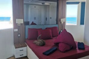 Doppelkabine Oberdeck der GD Imperial, Rotes Meer, Ägypten