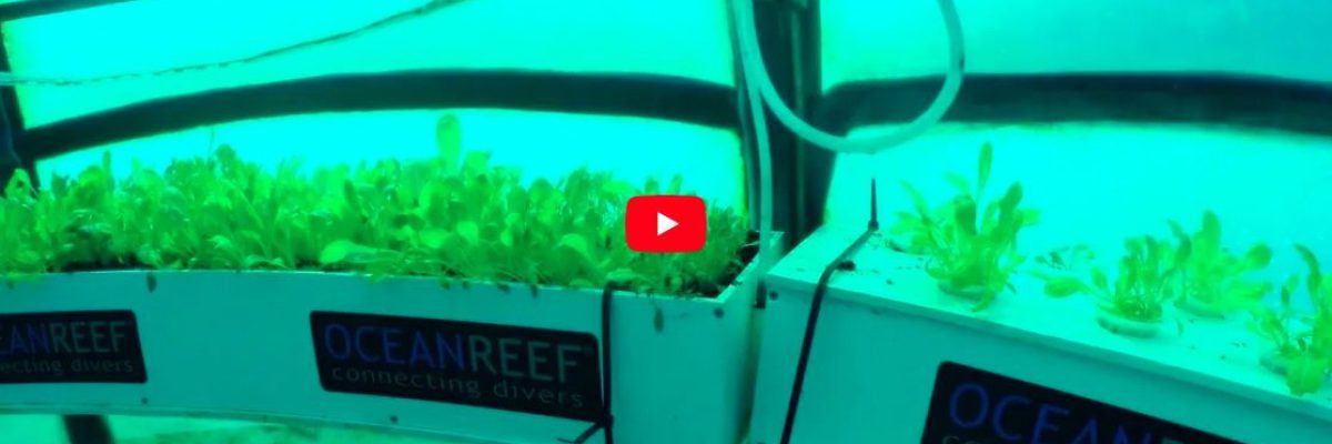 Screenshot-2022-05-19-at-12.20.13