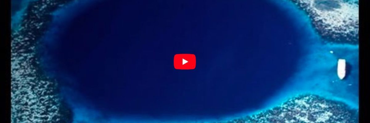 Screenshot-2022-05-30-at-11.28.11