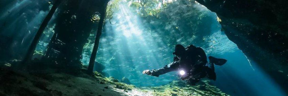 cenote-tauchen-dreamgate