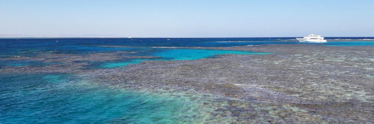 coral-reefs-gab6c627a2_1920