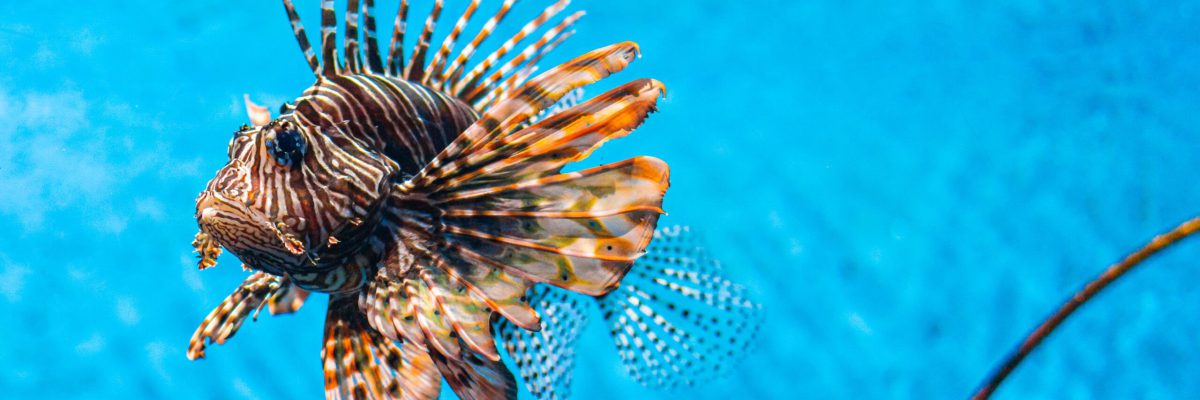 wai-siew-iFKMVFKY03c-unsplash-scaled